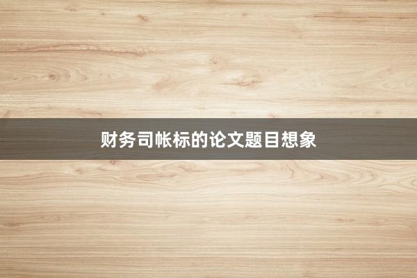 财务司帐标的论文题目想象