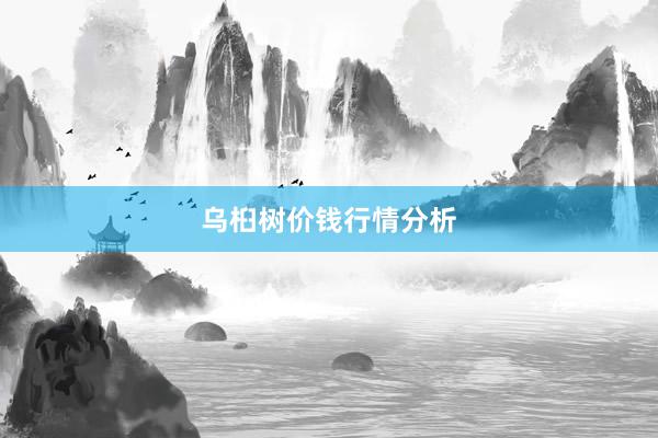 乌桕树价钱行情分析