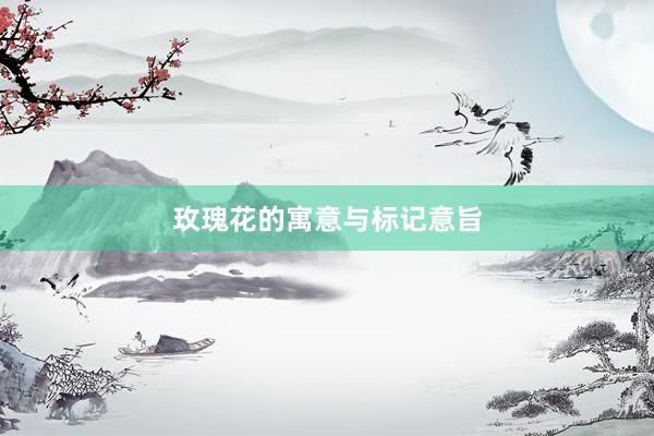 玫瑰花的寓意与标记意旨