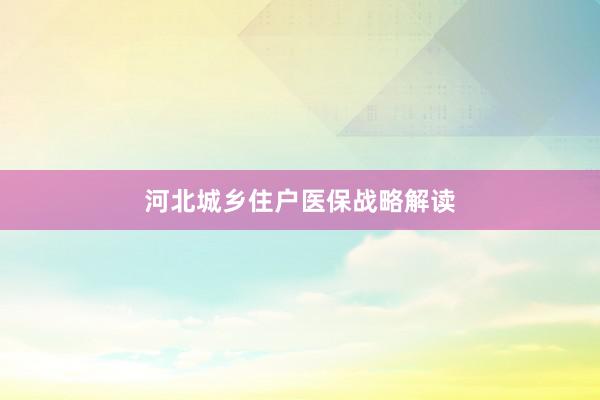 河北城乡住户医保战略解读